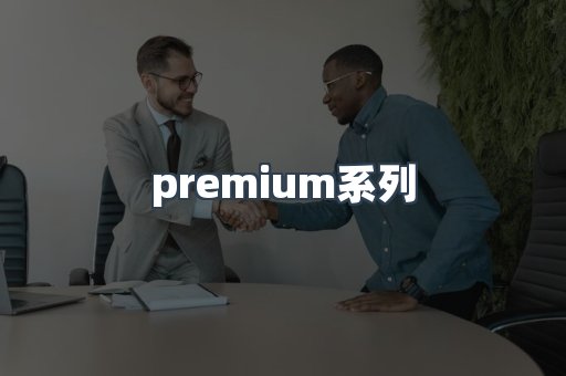 premium系列